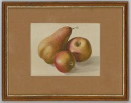 Mid 20th Century Watercolour - Apples And Pears