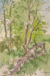 Michael Cadman RI ARCA (1920-2012) - Signed 1992 Watercolour, Woodland Trees