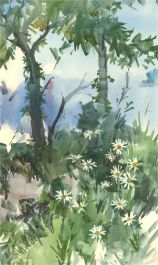 Michael Cadman RI ARCA (1920-2012) - Mid 20th Century Watercolour, Daisies