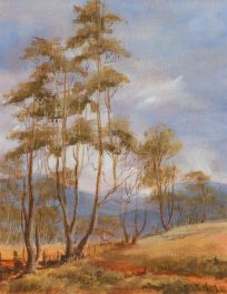 B. Whitford - 20th Century Oil, Trees