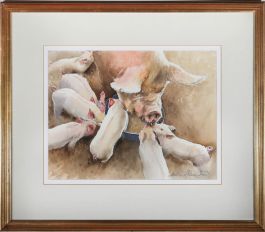 Anthony Bloomfield - Framed 20th Century Watercolour, Sow & Piglets