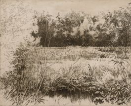 Contemporary Etching - Molsbroek II