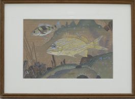 Framed 20th Century Gouache - Fish of the Sea