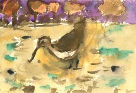 Michael Davies (b.1947) - Contemporary Watercolour, Snipe in Snow