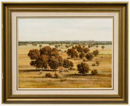 Michael Taylor - Framed Contemporary Oil, Looking Out Across the Plains