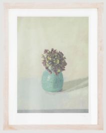 Framed Contemporary Giclee - Hydrangea II