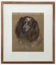 Edith Honor Earl (1901-1996) - Framed 1950 Pastel, Portrait of a Cocker Spaniel