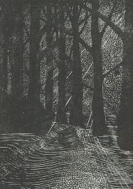 Philippa Dow  - Contemporary Wood Engraving, Twilight