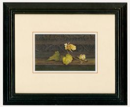 Ann Mumford - Contemporary Watercolour, Study of Hops