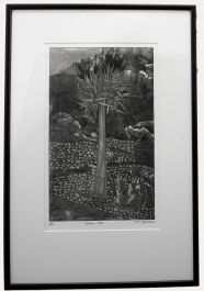 G. C. Goldman - Framed Contemporary Aquatint, Quiver Tree