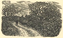 Miriam MacGregor (b.1935) - 20th Century Woodcut, A Wandering Boy