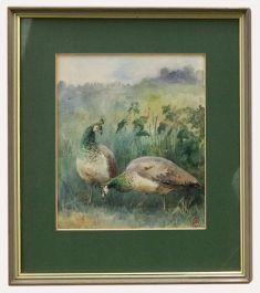 Framed Early 20th Century Watercolour - Two Peahens
