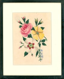 Framed 19th Century Watercolour - Roses