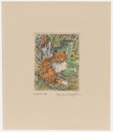 20th Century Etching - Garden Cat