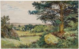19th Century Watercolour - View of The Meadows