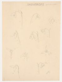 William Henry Ladd - Early 20th Century Graphite Drawing, Snowdrops