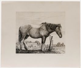 Simon Bull - 20th Century Etching, The Old Horse