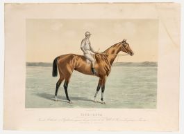 Joseph Lemercier - 19th Century Lithograph, Fitz-Roya