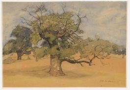 David R. Anderson - Mid 20th Century Watercolour, The Old Tree