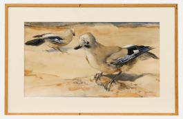 Adrianus Johannes van 't Hoff (1893-1939) - Framed 1929 Watercolour, Two Jays