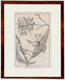 Robert Béenard (1734-1794) - 18th Century Engraving, Le Cirier & Le Vanille