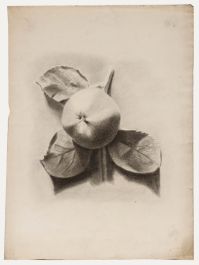 19th Century Graphite Drawing - Study of an Apple