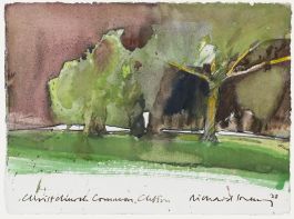 Richard J.S. Young - 2023 Watercolour, Christ Church Common at Dusk