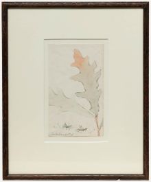 Framed Late 19th Century Graphite Drawing - Study of an Oak Leaf