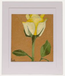 Ben Carrivick - Contemporary Oil, Yellow Rose