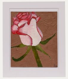 Ben Carrivick - Contemporary Oil, Singular Rose