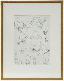 Leslie Charles Boyce (1892-1989) - Pen and Ink Drawing, Chicken Studies