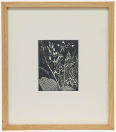 John Northcote Nash - Early 20th Century Wood Engraving, Orchids