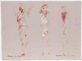 Richard J.S. Young - 2004 Coloured Pencil, Studies of Jane