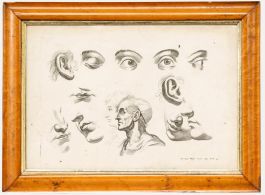 Jeremias Wolff (1667-1724) - 18th Century Engraving, Eye Studies
