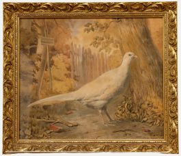 Pieter Gerardus Bernhard - 1843 Watercolour, Pheasant in Arendsdorp