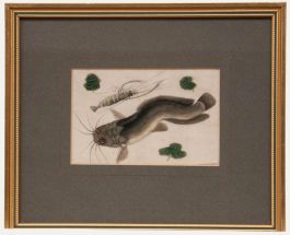 Chinese School 19th Century Watercolour - Catfish & Shrimp