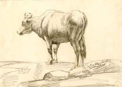 Fine 19C Italian Pencil Drawing
