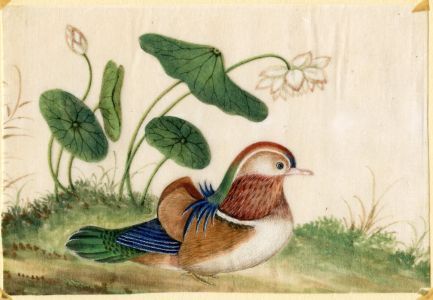 Pair Antique Chinese Rice Paper Paintings of Birds