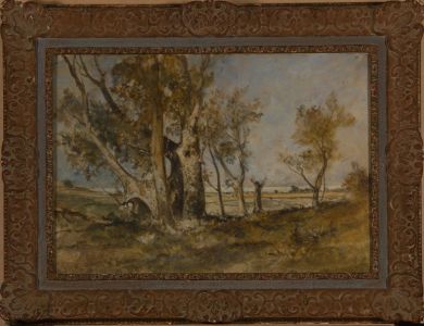 Oliver Hall RA RE RWS - Mid 20th Century Oil, Trees on the Edge of Morecambe Bay