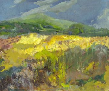 Gilbert Adams FRPS (1906-1996) - Mid 20th Century Oil, Wheat Fields