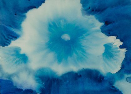 Rosalind Adams (née Thuillier) - Contemporary Watercolour, Blue Flower