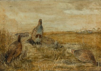 E.C. Moy - Signed 1897 Oil, Grouse in a Highland Landscape