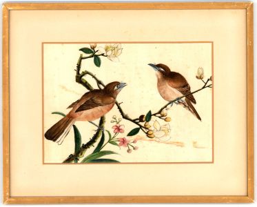 Chinese Mid 20th Century Gouache - Birds in a Blossoming Tree