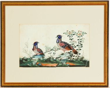 Oriental Gilt Framed 20th Century Gouache - Pair of Birds