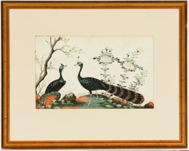 Oriental Gilt Framed 20th Century Gouache - Pair of Peacocks