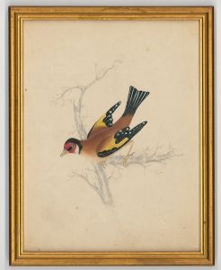 S. F. Ferguson - Gilt Framed 1845 Watercolour, The Goldfinch