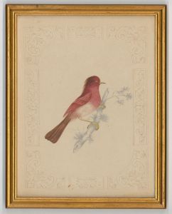 S. F. Ferguson - Gilt Framed 1845 Watercolour, The House Finch