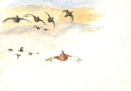 James Frank Adams (1923-2008) - Contemporary Watercolour, Grouse in Flight