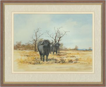 James Frank Adams (1923-2008) - 1994 Watercolour, Water Buffalo