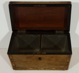 A Good Faded Mahogany Regency Sarcophagus Tea Caddy